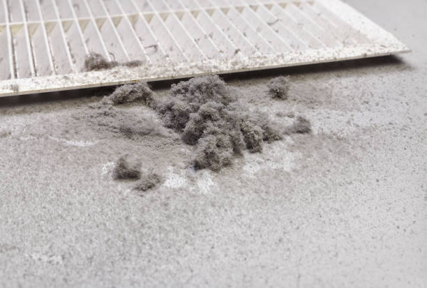 Best HVAC System Cleaning  in Ferdand, IN