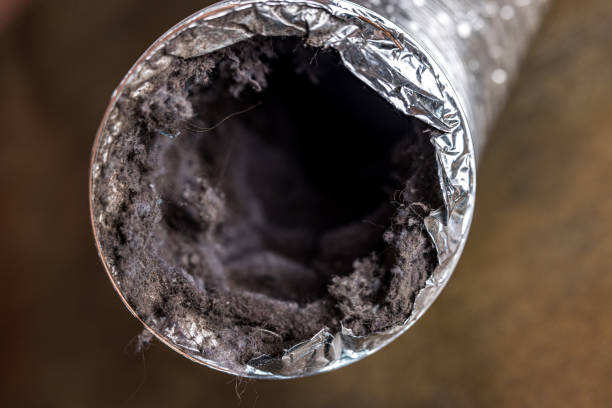 Best Emergency Air Duct Cleaning  in Ferdand, IN